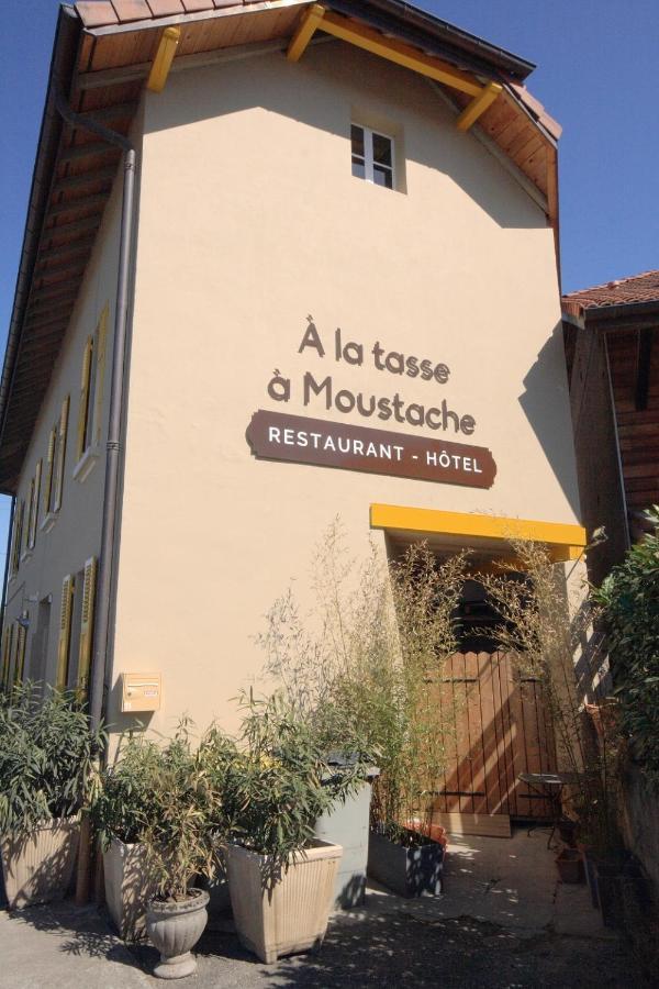 Hotel A La Tasse A Moustache Thonon-les-Bains Exterior photo